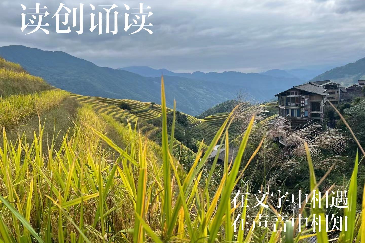 读创诵读(人间百味)|贫瘠年代端出丰盛——母亲的大碗菜(作者:王长敏）