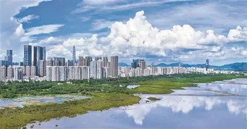 深圳一周丨各区书记区长在忙啥？（7月14日-7月20日）