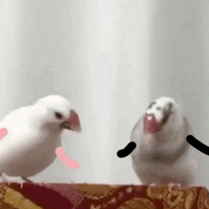 深圳交通_20250717_145946.gif