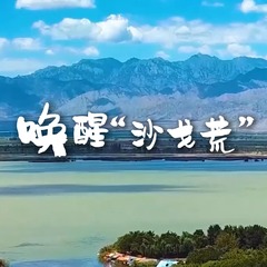 唤醒“沙戈荒”