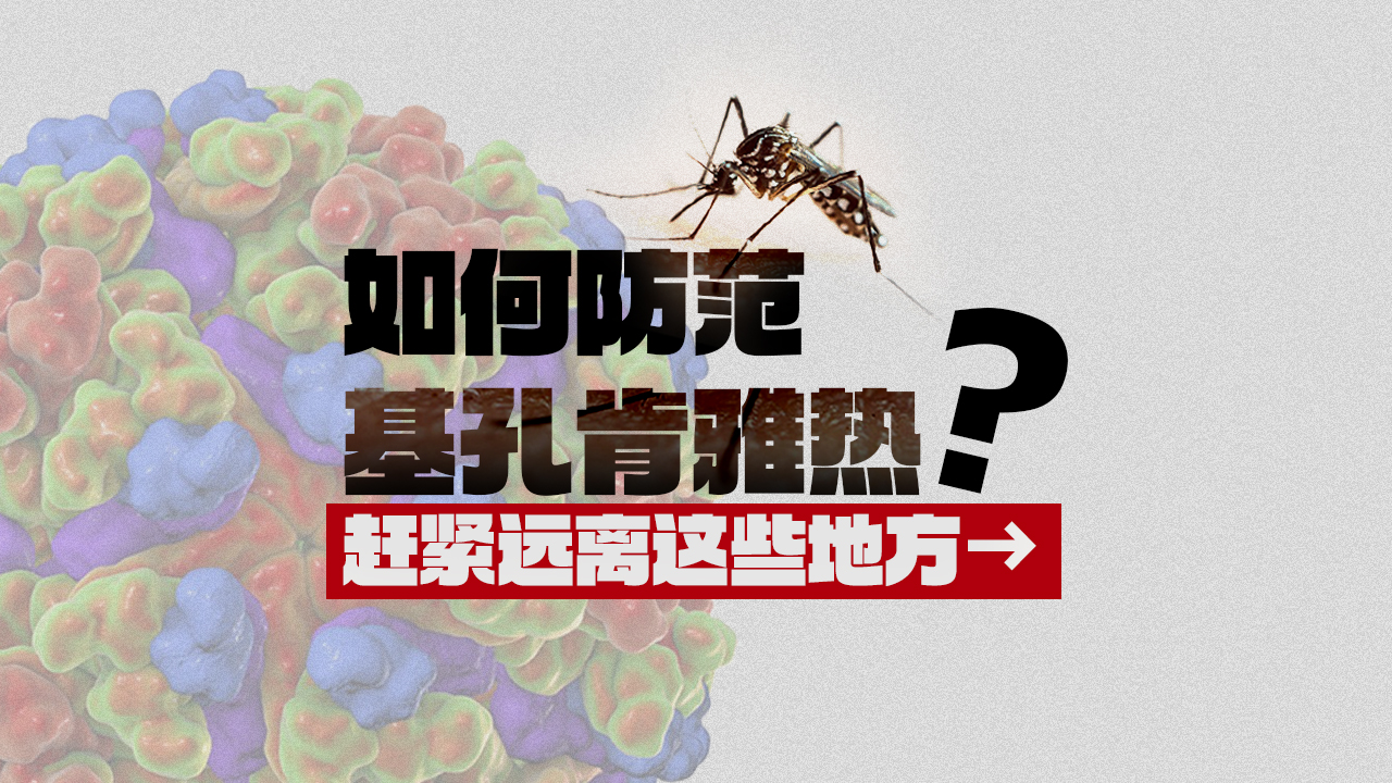 如何防范基孔肯雅热？赶紧远离这些地方→ 