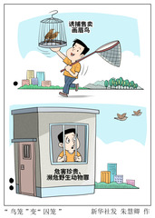 （图表·漫画）拍案丨“鸟笼”变“囚笼”
