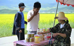 图片故事丨追花人家 甜在田间（4）