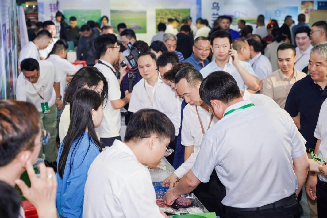 48小时直达珠三角,“北牛南运”重塑华南消费市场格局