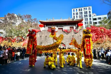 当非遗遇上深圳速度丨人文天地·南海潮