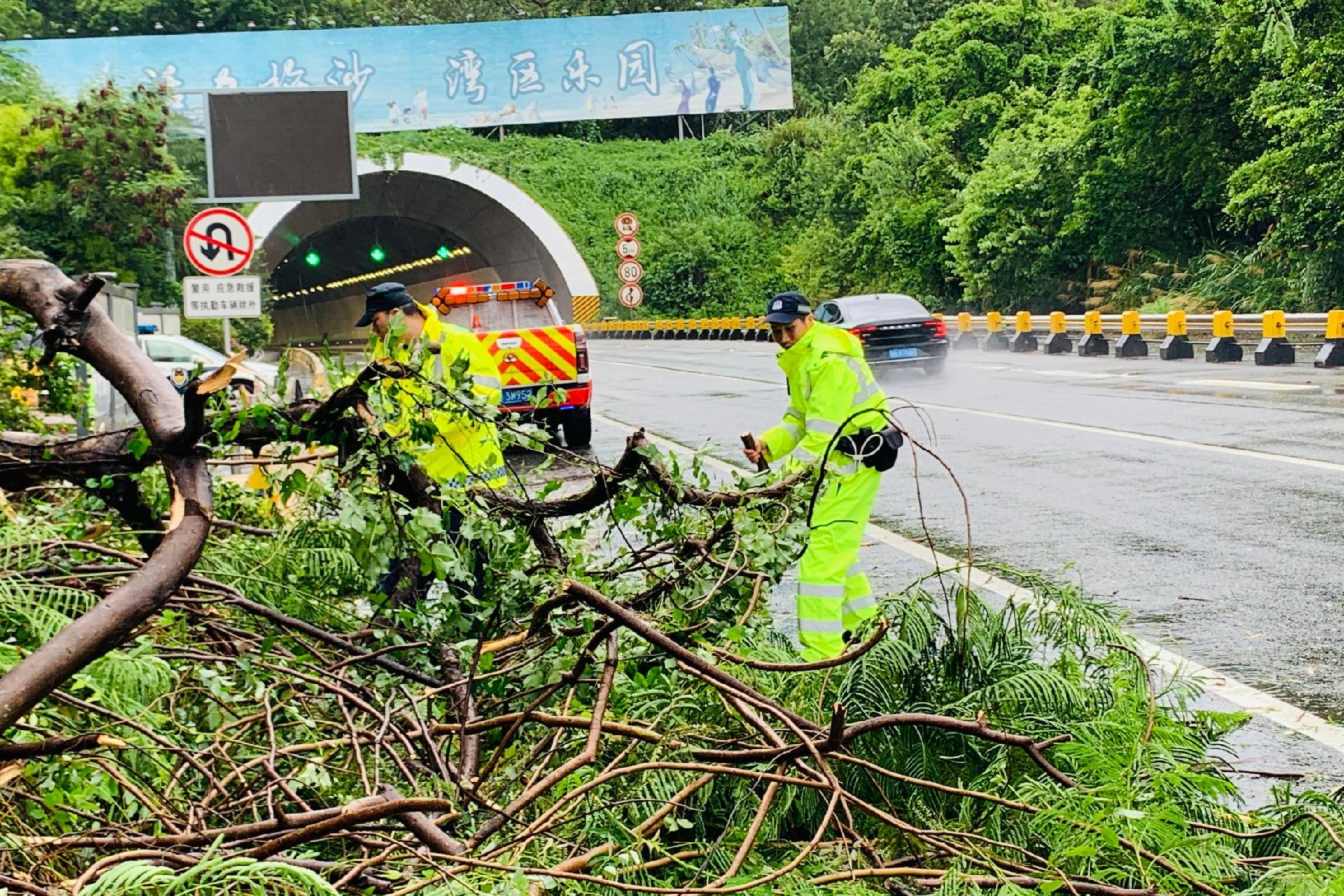 快讯！台风“韦帕”致断枝挡路，盐田交警全域清障保畅通