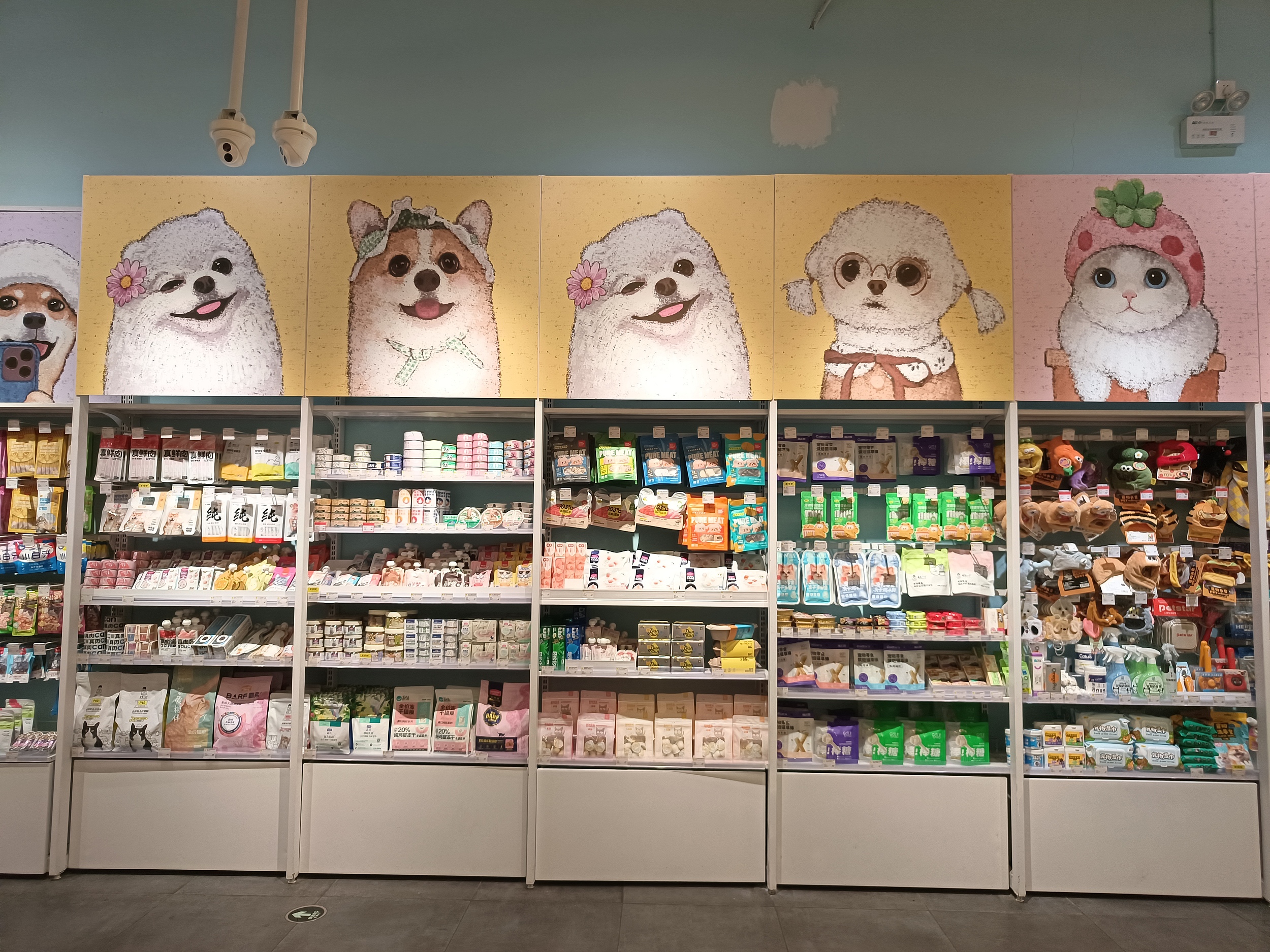 宠域talk | 宠物用品店“无人化”潮起：成本优势显著，服务深度待解