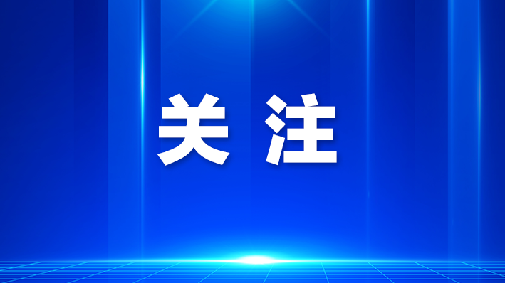 大浪街道妇联提升基层骨干业务能力