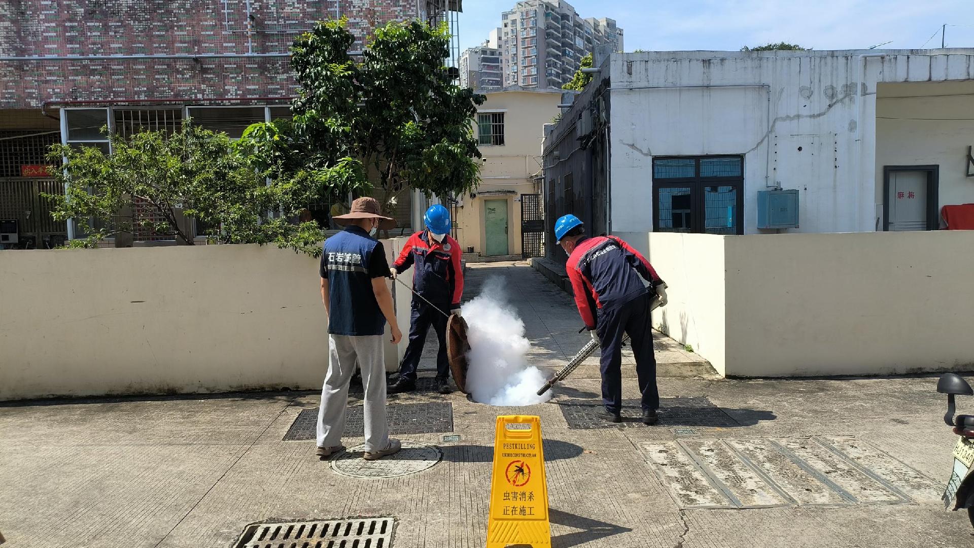 防范基孔肯雅热！宝安整治蚊虫孳生地2200处