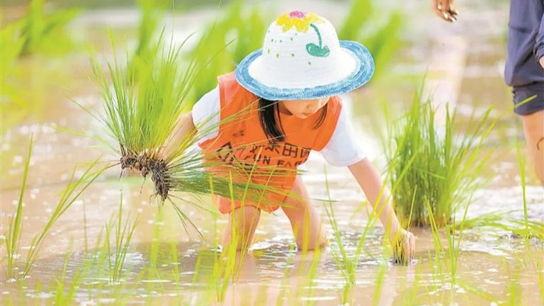 暑假约定你 ！2025年华侨城旅游狂欢节光明分会场开幕