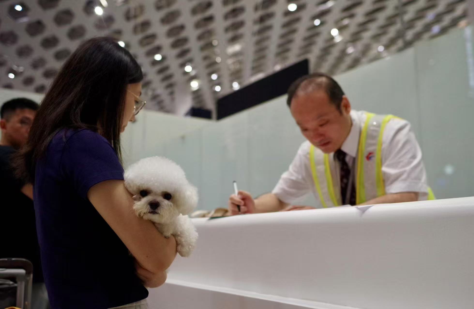 打“飞的”去北京！东航深圳喜迎首个“毛孩子”旅客