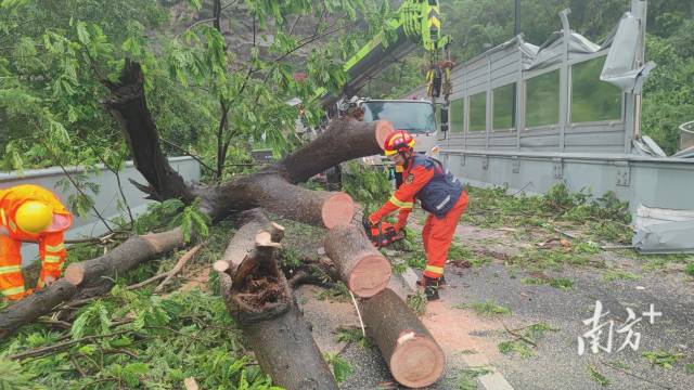 台风过后，珠海市拱北消防救援站救援人员清理路障。