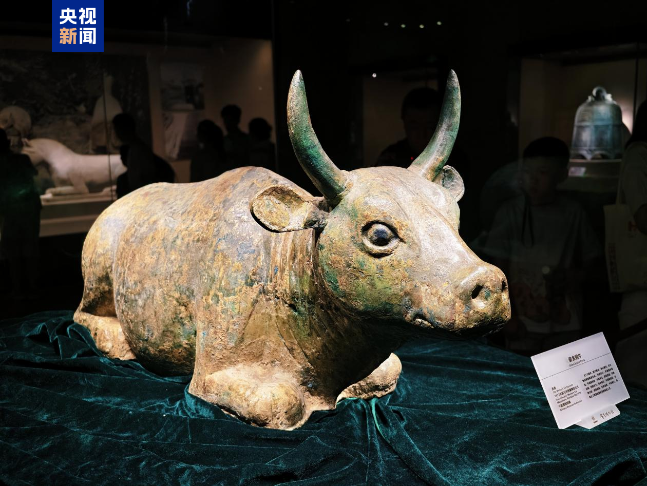 听说西夏陵申遗成功，这些珍贵文物开启了热聊模式 