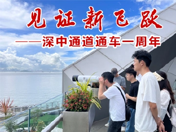 见证新飞跃——深中通道通车一周年