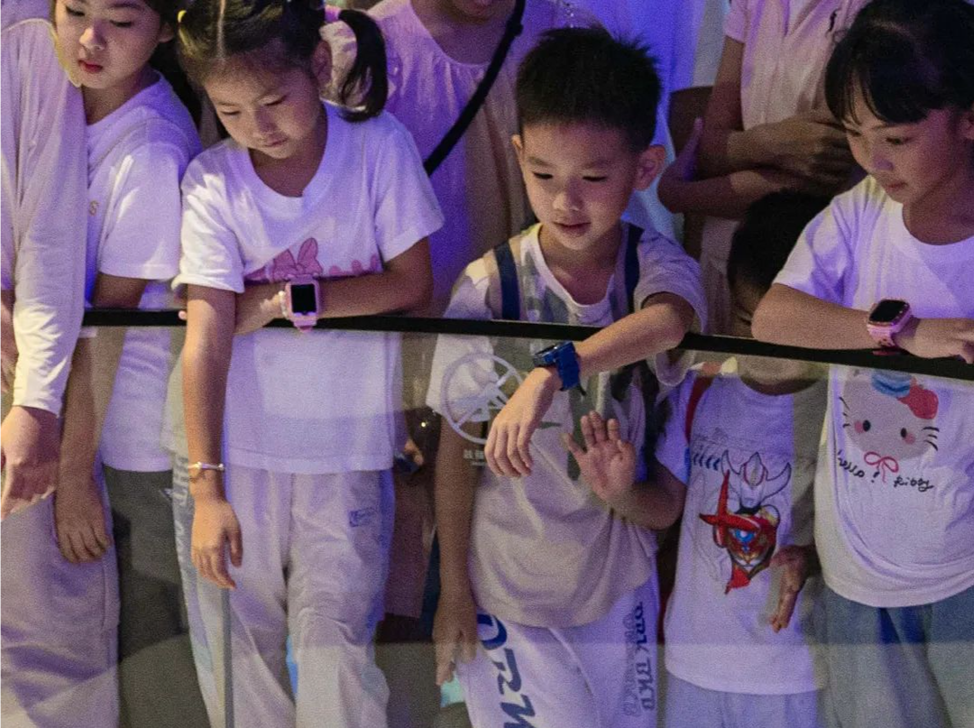 美丽深圳·每日一图｜2025年7月18日 