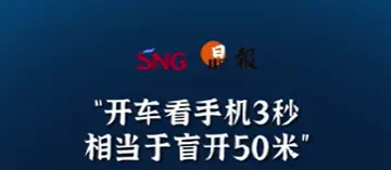 晶报10分钟｜“开车看手机3秒相当于盲开50米”