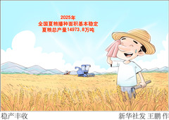 （图表·漫画）稳产丰收