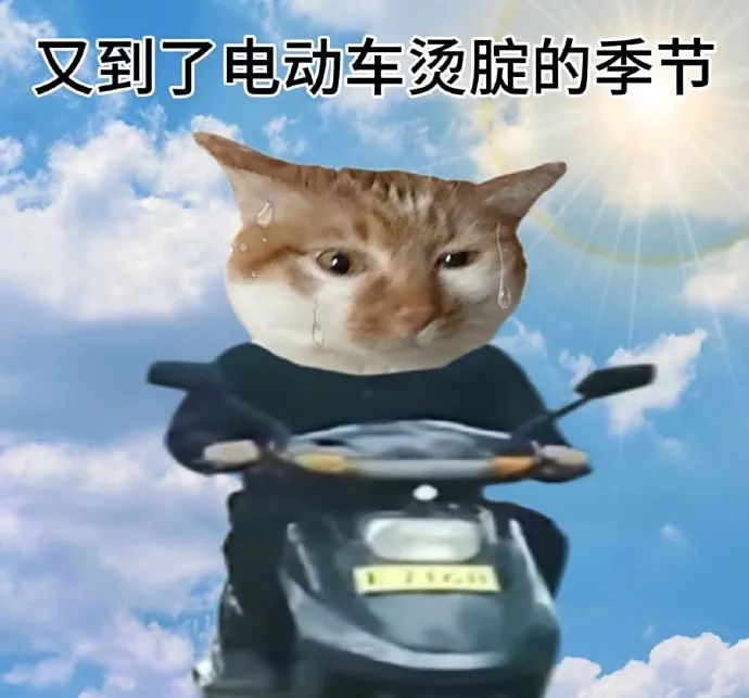 0022FTd2gy1i3gonjxbyaj60wi0vv47602.jpg