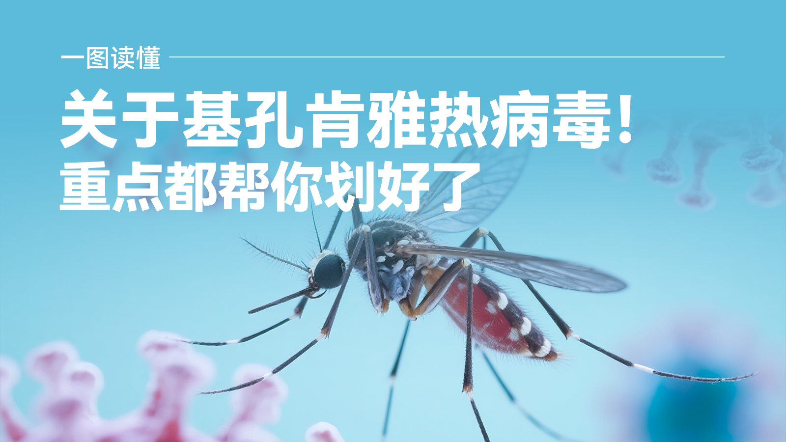 关于基孔肯雅热病毒！重点都帮你划好了