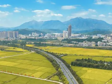 一台先进制造业强引擎——深汕特别合作区产业投资促进大会观察