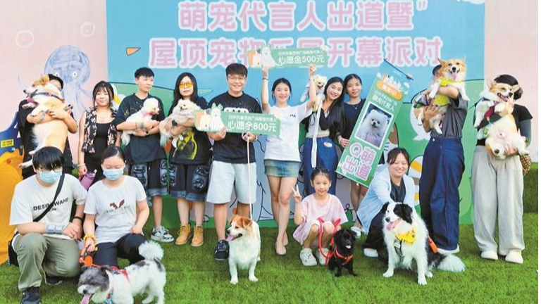 沙井近500㎡屋顶宠物乐园免费开放