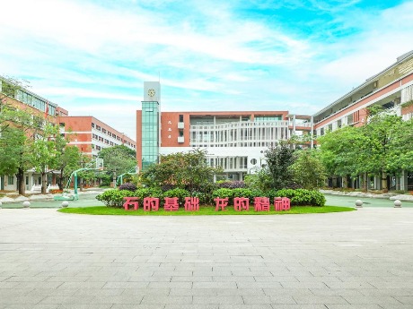 三校涨超20分！“十一大校”格局敲定，东莞中考线为何普遍走高？