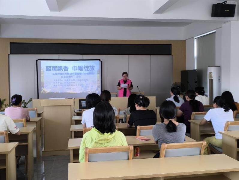 帮助创业女性提升蓝莓种植技术，汕头仙城镇这场培训深受“半边天”欢迎