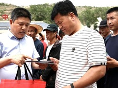 宁夏：农民工之家解锁“农村避暑”新模式