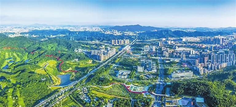 追光同行 风华正茂丨与光明成长 我们在一起