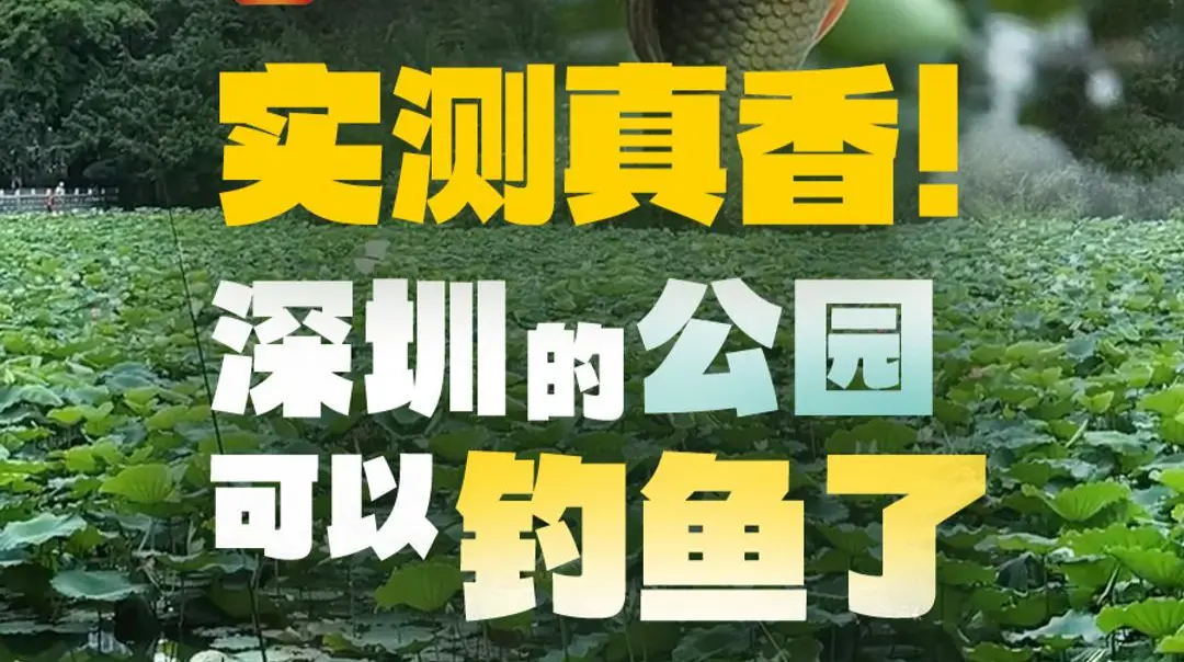 实测真香！深圳的公园可以钓鱼了