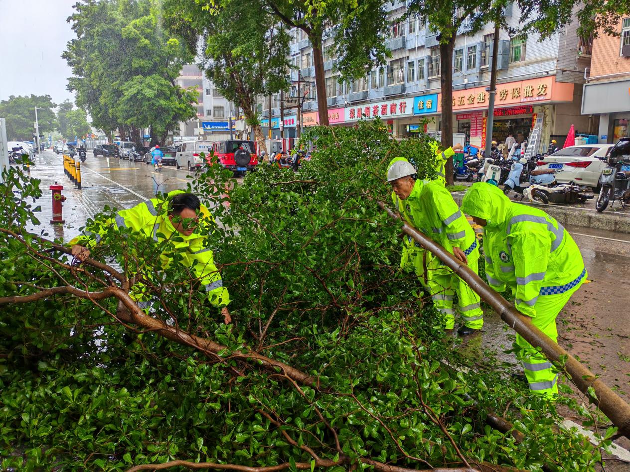 “网格+气象”：筑牢深圳基层防御台风“韦帕”防线