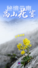（图表 海报）美丽中国丨秘境云南，高山花宴（3）