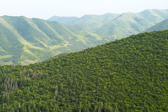 六盘山“山水工程” 打造生态绿色屏障（7）