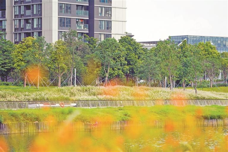 藏不住了!跟着网红博主打卡福海河