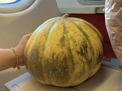一颗老汉瓜里的新疆故事：从 “带不出新疆” 到 “香飘千万家” 