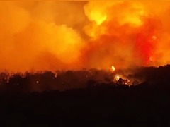 西班牙多地大火烧毁数千公顷土地 马德里上百户居民紧急疏散