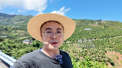 活力中国调研行｜重庆奉节：万亩橙林里的“金山”密码