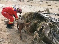内蒙古乌拉特后旗山洪救灾：搜救力量累计超1200人