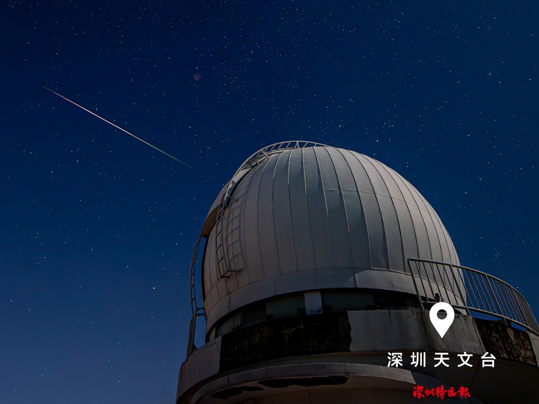 美丽深圳·每日一图｜2025年8月15日