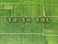 有绿、有技、有特色——在“活力中国调研行”中感受乡村振兴新活力