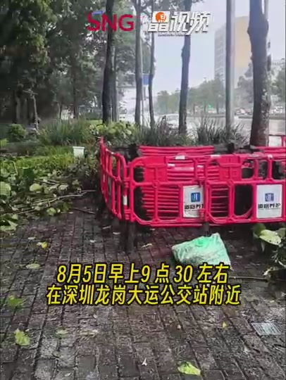 晶视频丨缓解早高峰出行压力，环卫工人处理倒塌树木
