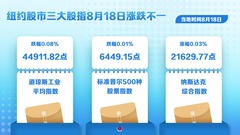 （图表）纽约股市三大股指8月18日涨跌不一
