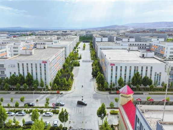 深情帮扶结硕果 携手共赢圳精彩 深圳以特区担当作为绘就乡村振兴壮美画卷