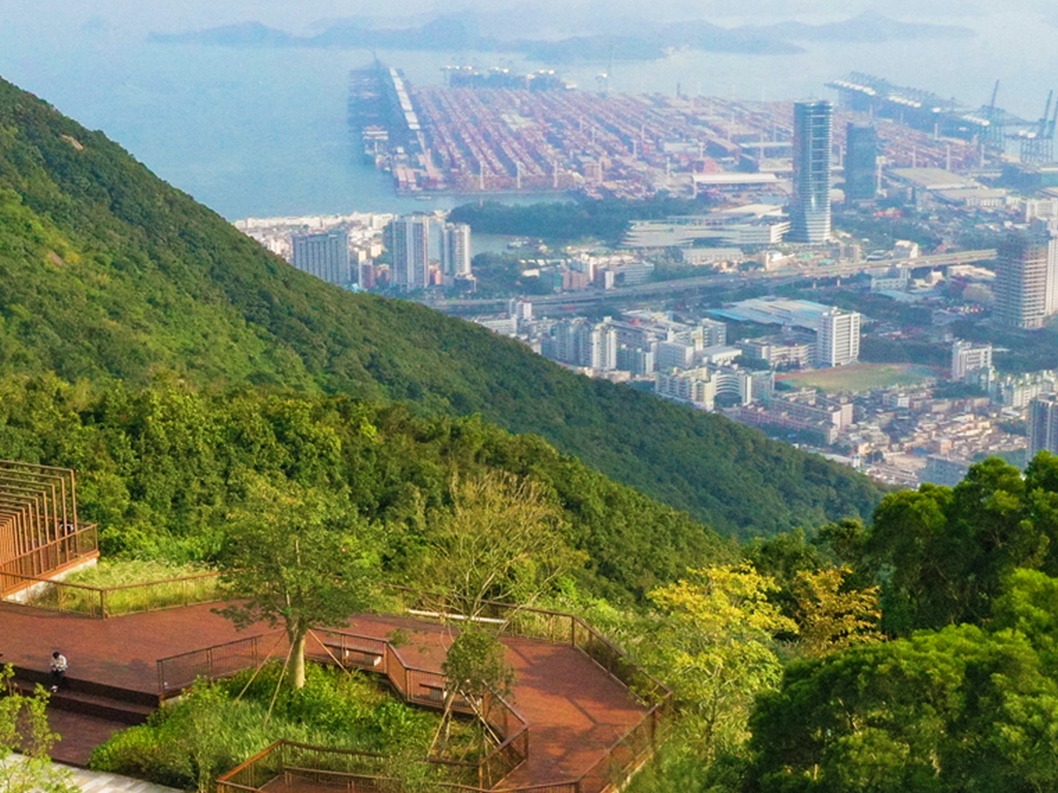 美丽深圳·每日一图｜2025年8月18日