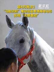 秀我中国｜“马脸识别”推动往返粤港两地马匹实现“无感查验”