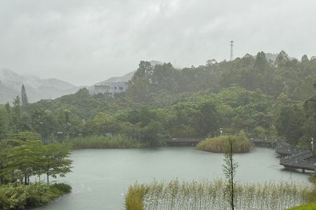 雨势持续！中山天气“双预警”，出门带伞