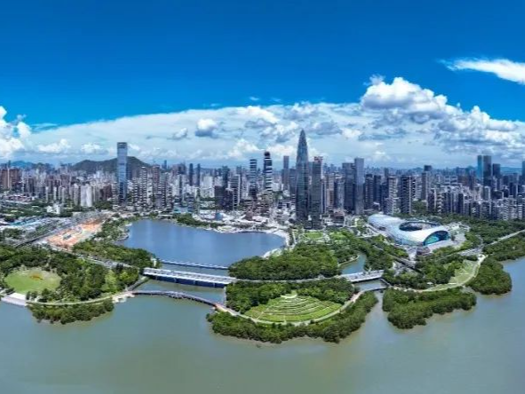 深圳一周丨各区书记区长在忙啥？（7月28日-8月3日） 