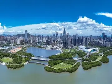 深圳一周丨各区书记区长在忙啥？（7月28日-8月3日） 