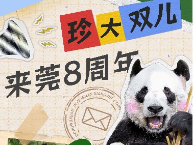 国宝生日，盛夏狂欢！8月16日东莞香市动物园“森友会”等你来！