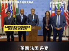 五国驻联大使发声：谴责以色列！